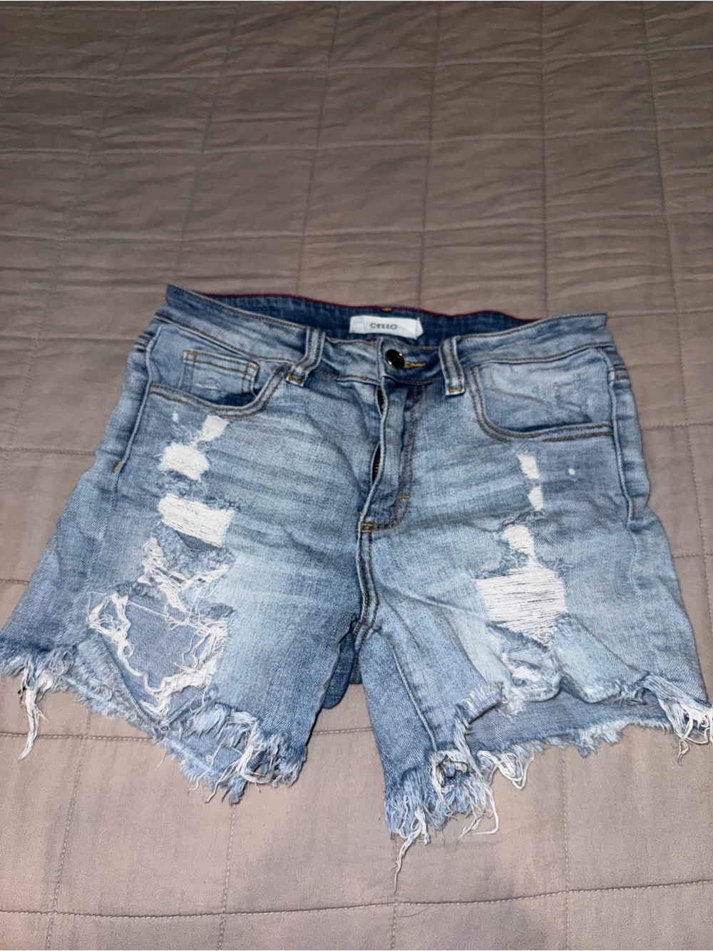 Cello Light Blue Distressed Denim Women's Shorts